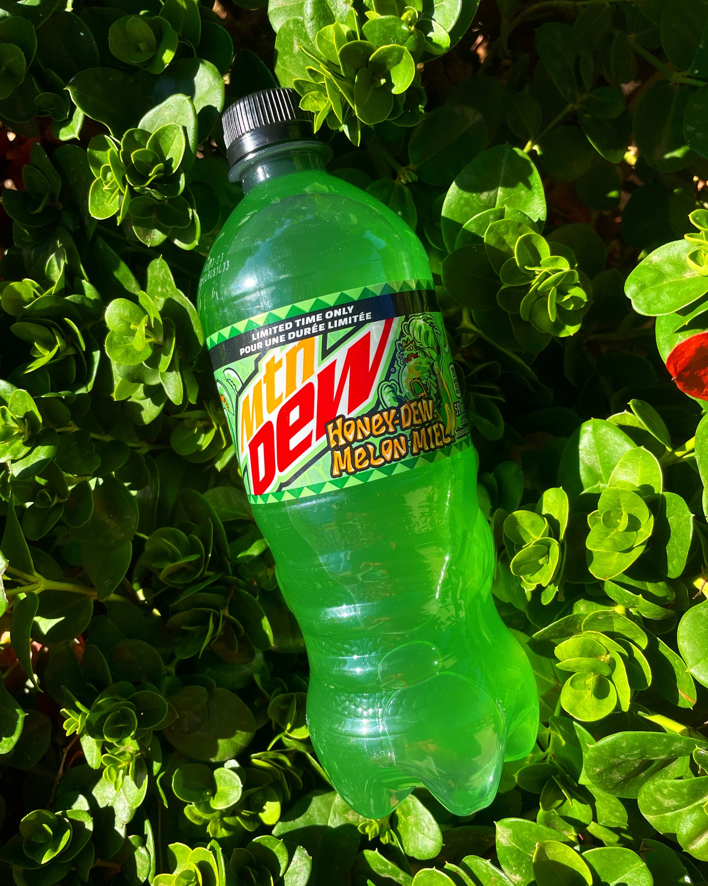 Mountain Dew Honey Dew Melon (Canada)
