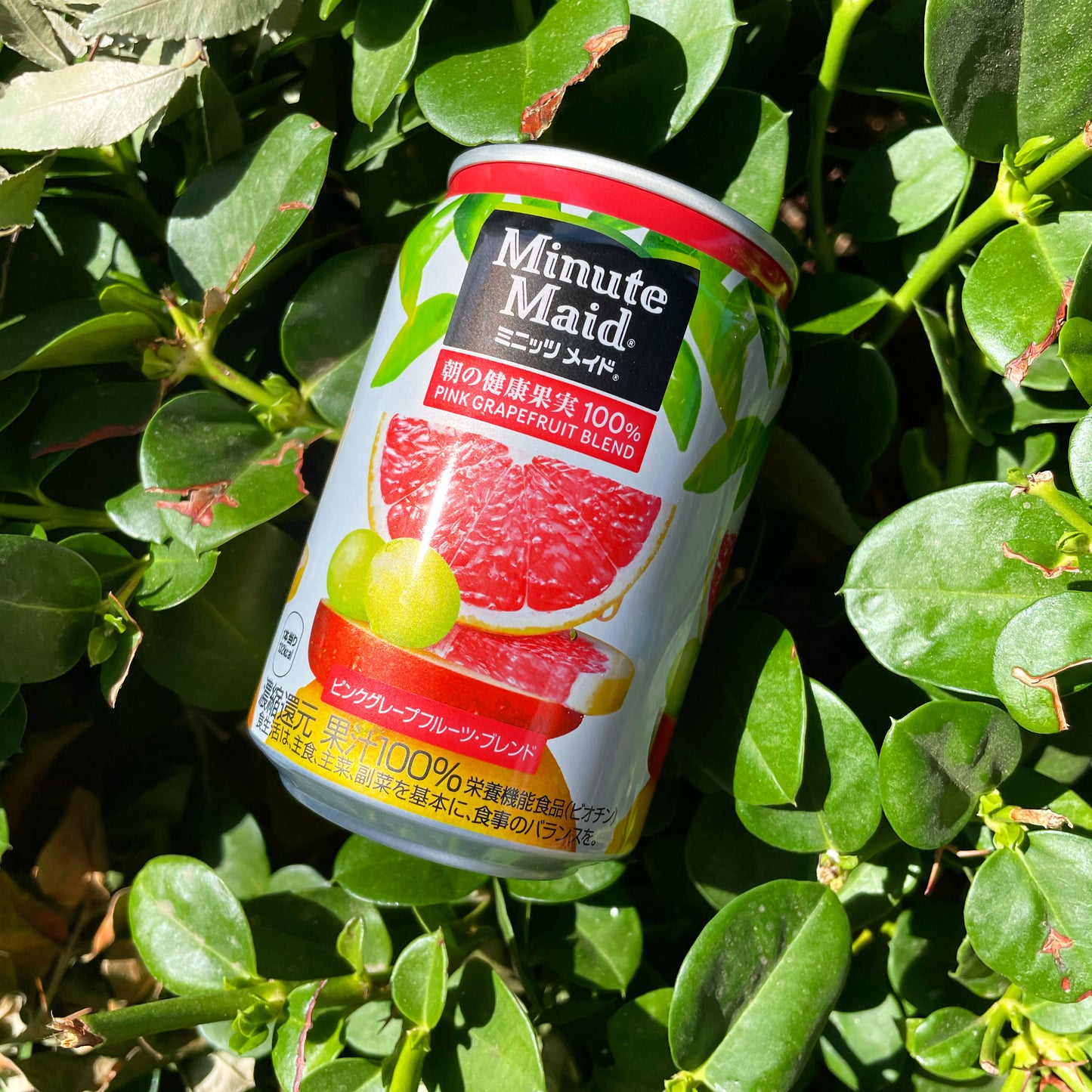 Minute Maid Grapefruit Blend (Japan)