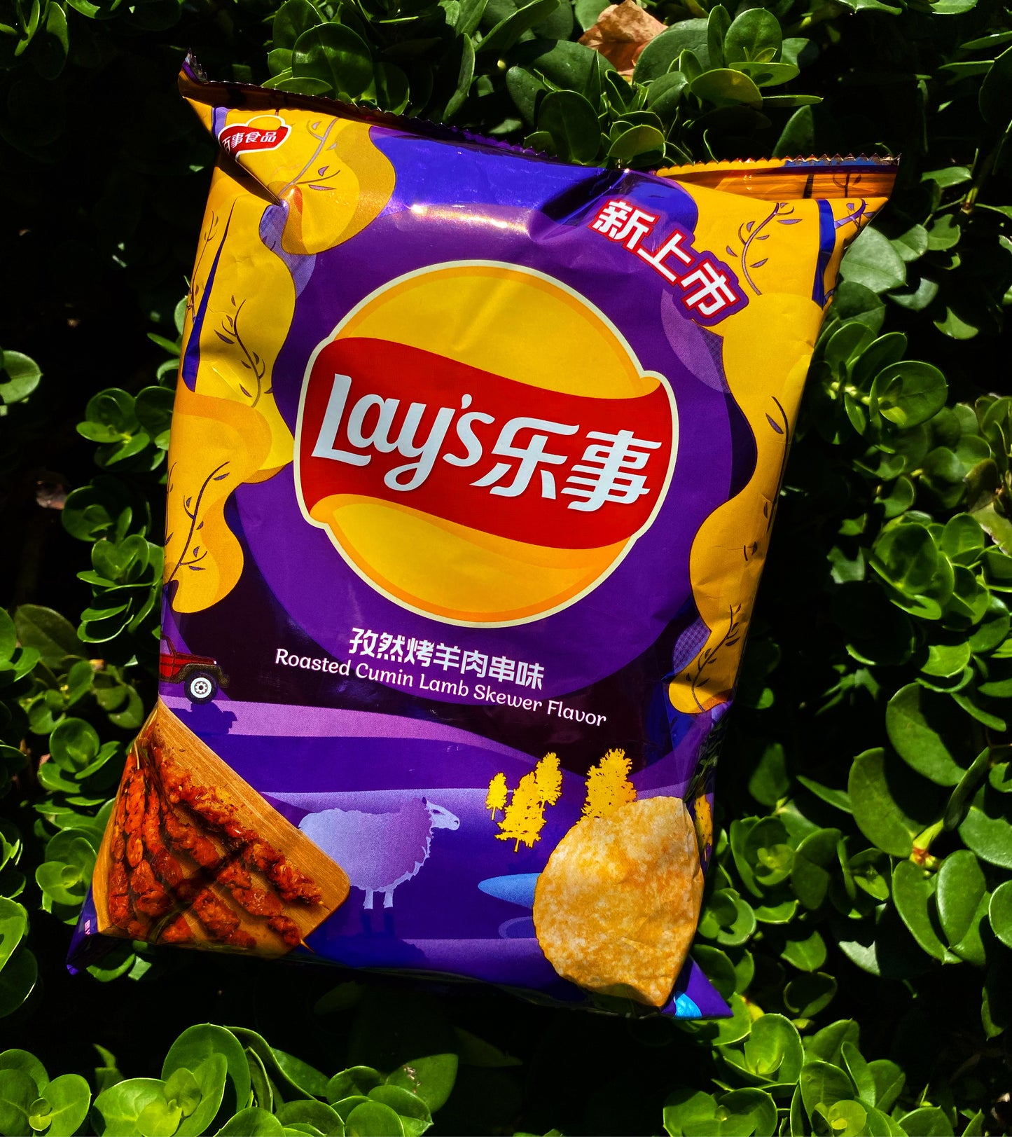 Lays Roasted Lamb Flavor (China)