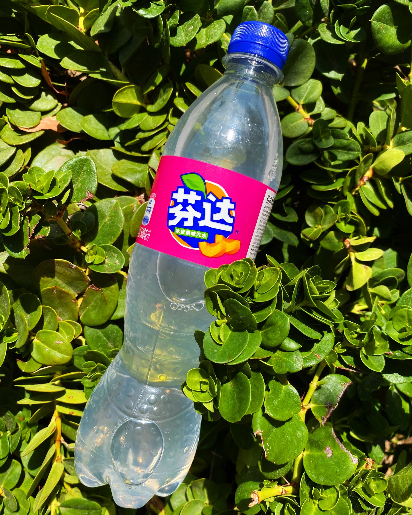 Fanta White Peach (China)