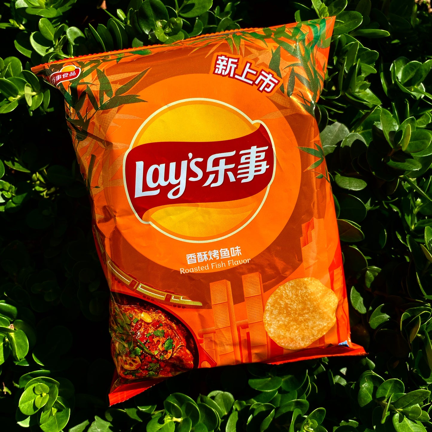 Lays Roasted Fish (China)