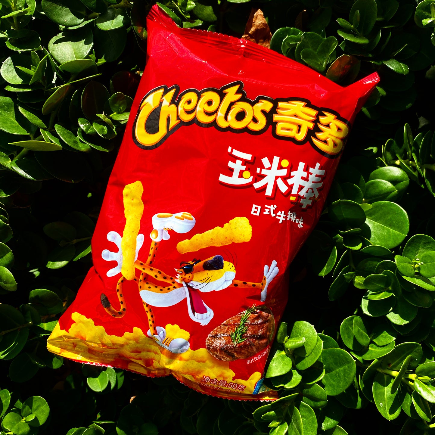 Cheetos Japanese Steak (China)