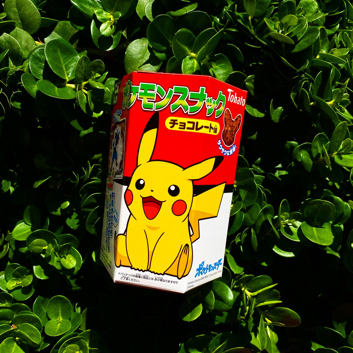 Pokemon Choco Biscuits (Japan)
