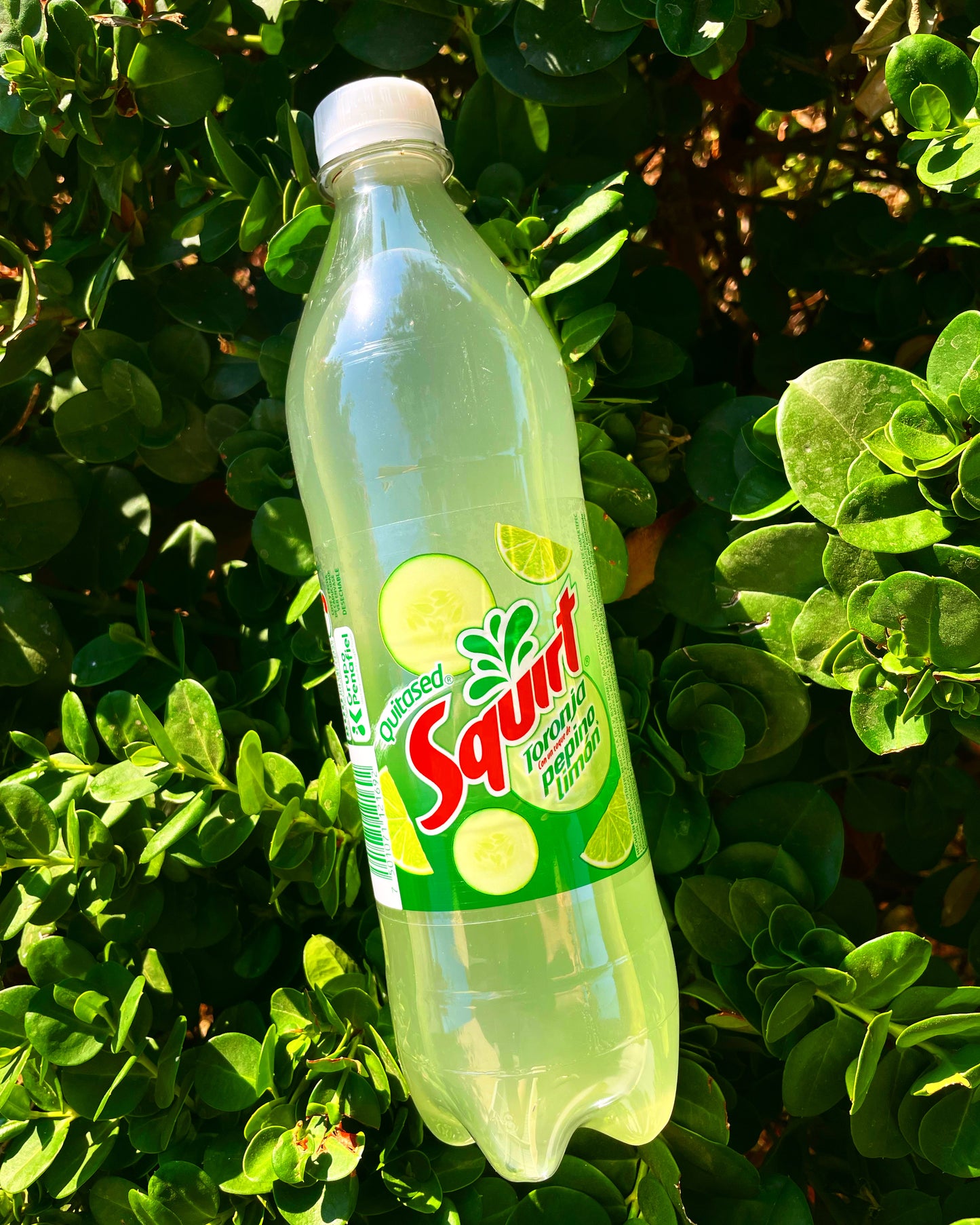 Squirt Grapefruit, Cucumber & Lime (Mexico)