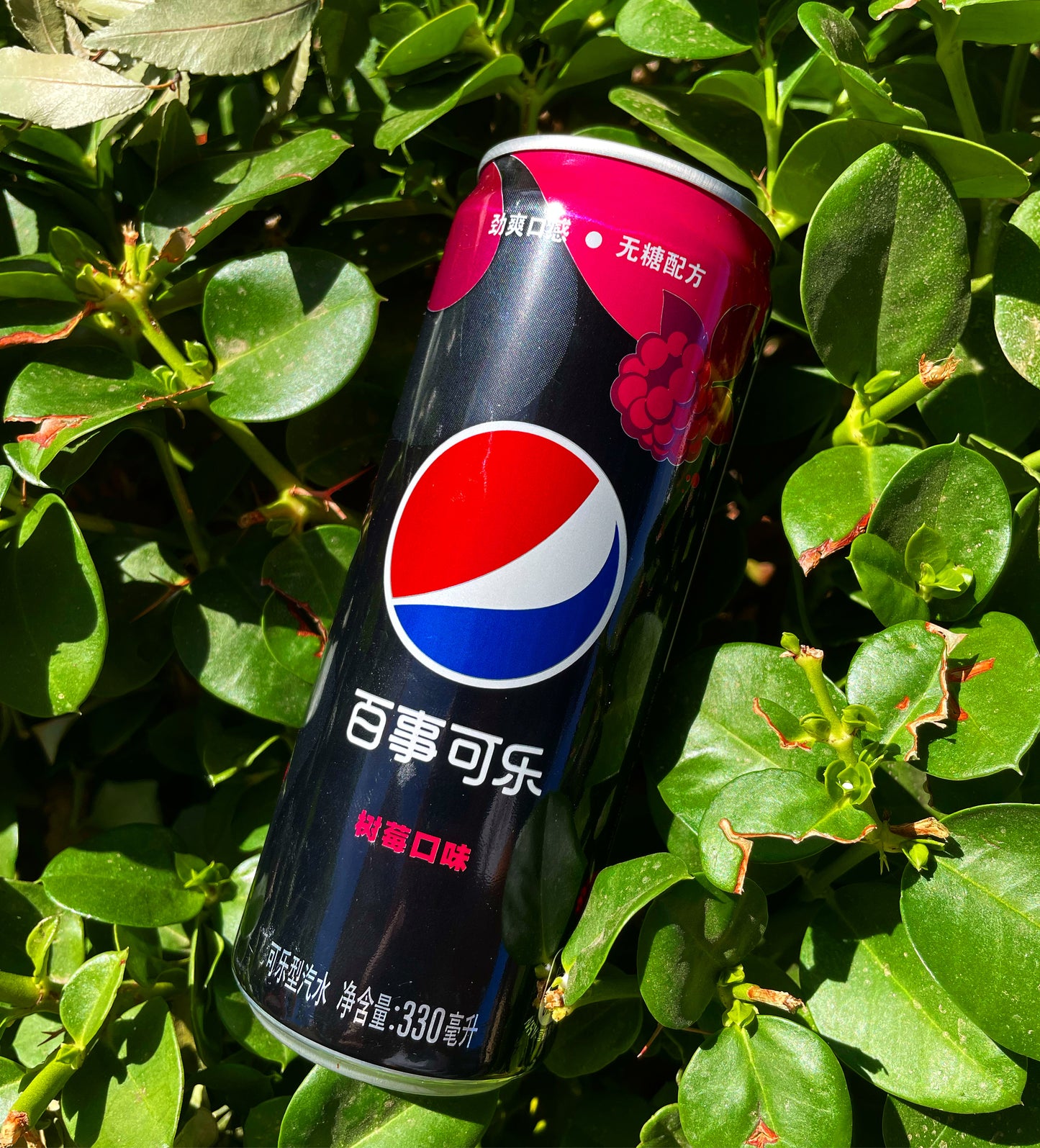 Pepsi Raspberry Zero Sugar [Can] (China)