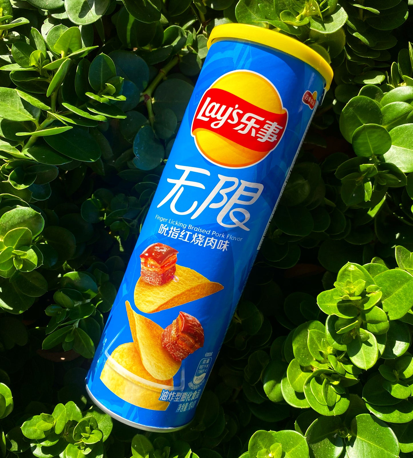 Lays Finger Licking Braised Pork Flavor (China)