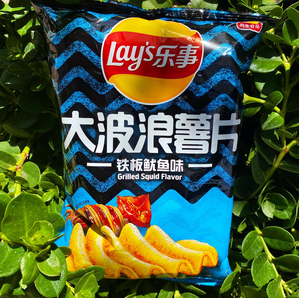 Lays Grilled Squid (China)