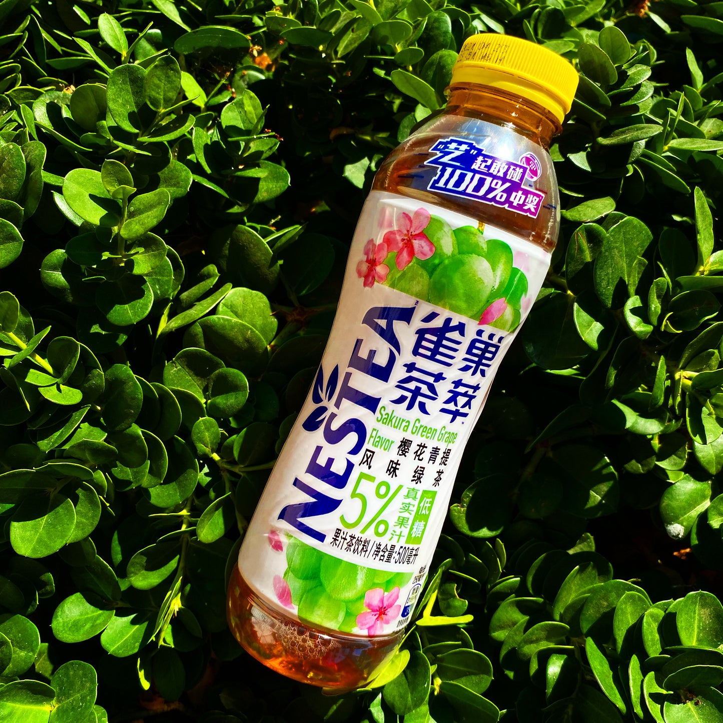 Nestea Green Tea w/ Sakura Green Grape (China)