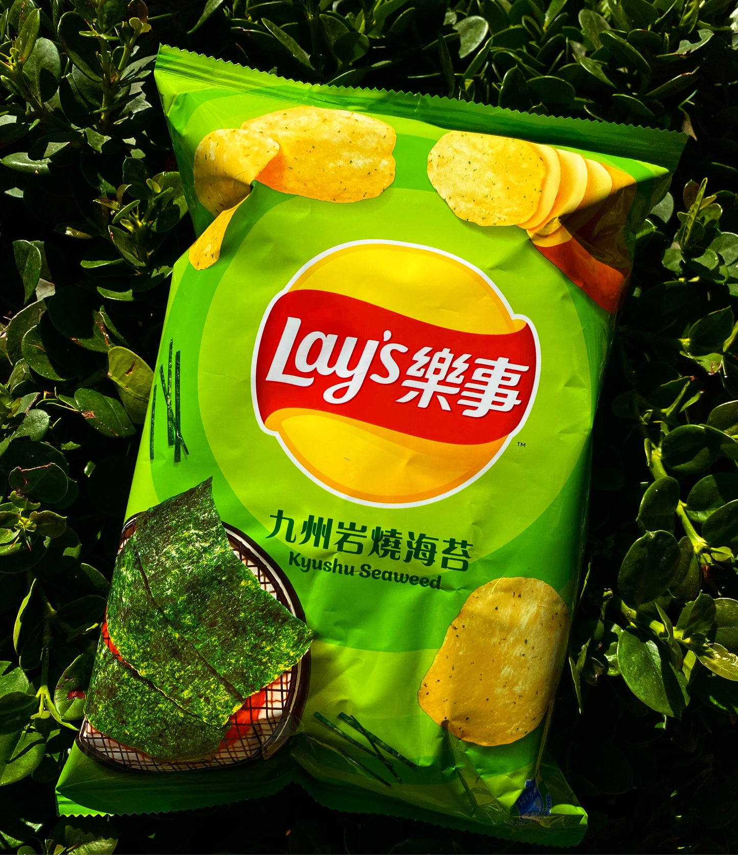 Lays Kyushu Seaweed (Taiwan)