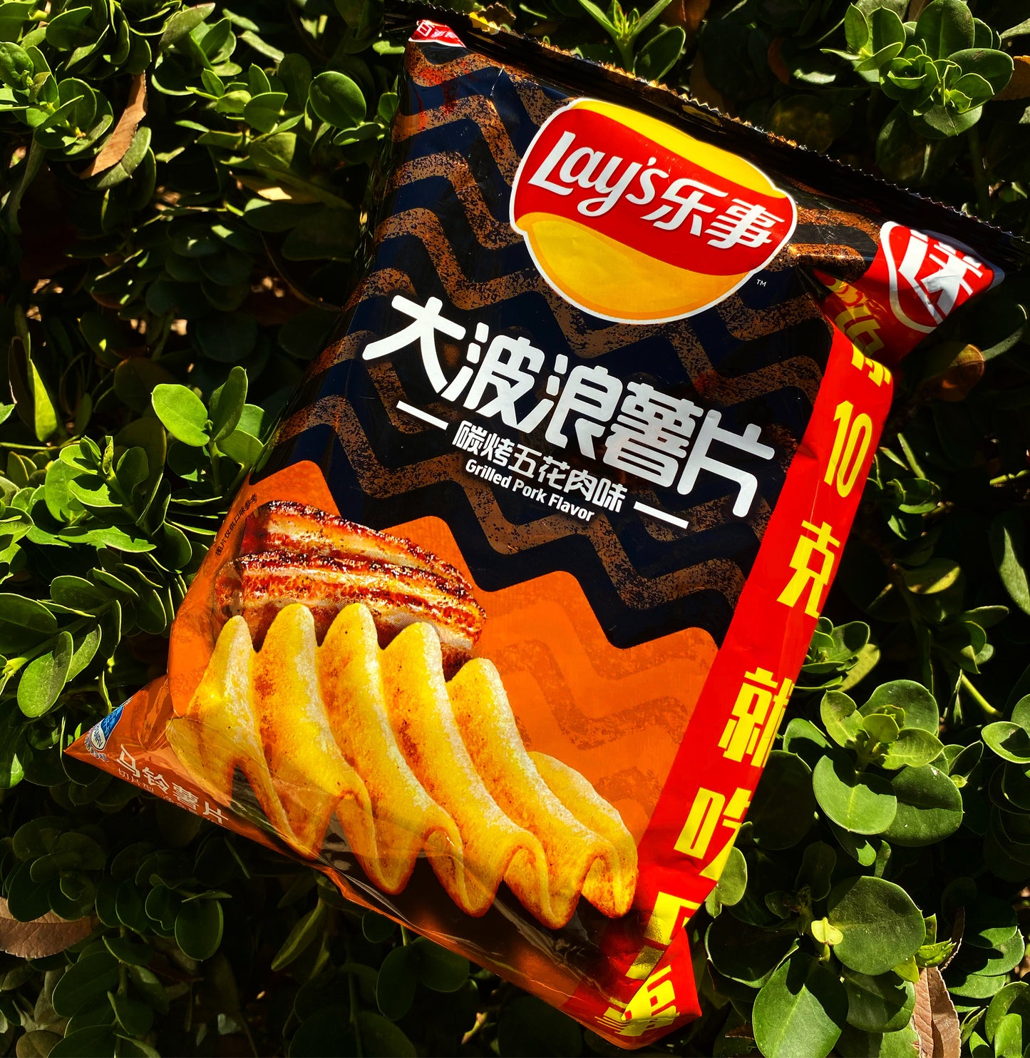 Lays Grilled Pork (China)